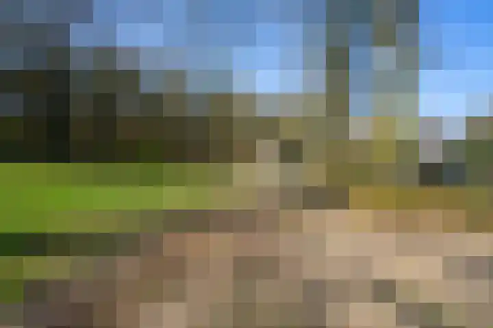 Willemstraat 2 Bakel thumbnail 51