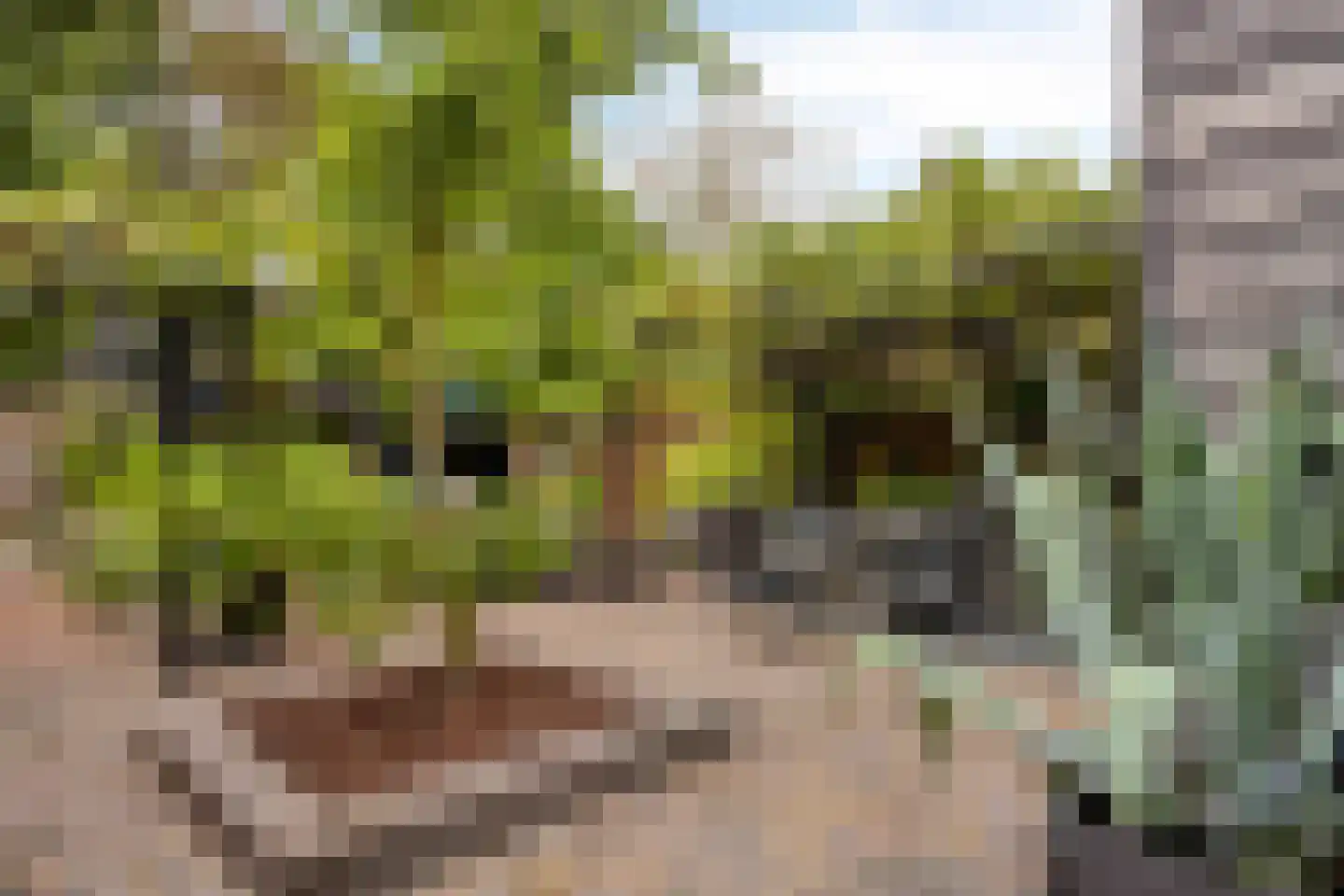 Willemstraat 200 Ridderkerk thumbnail 35