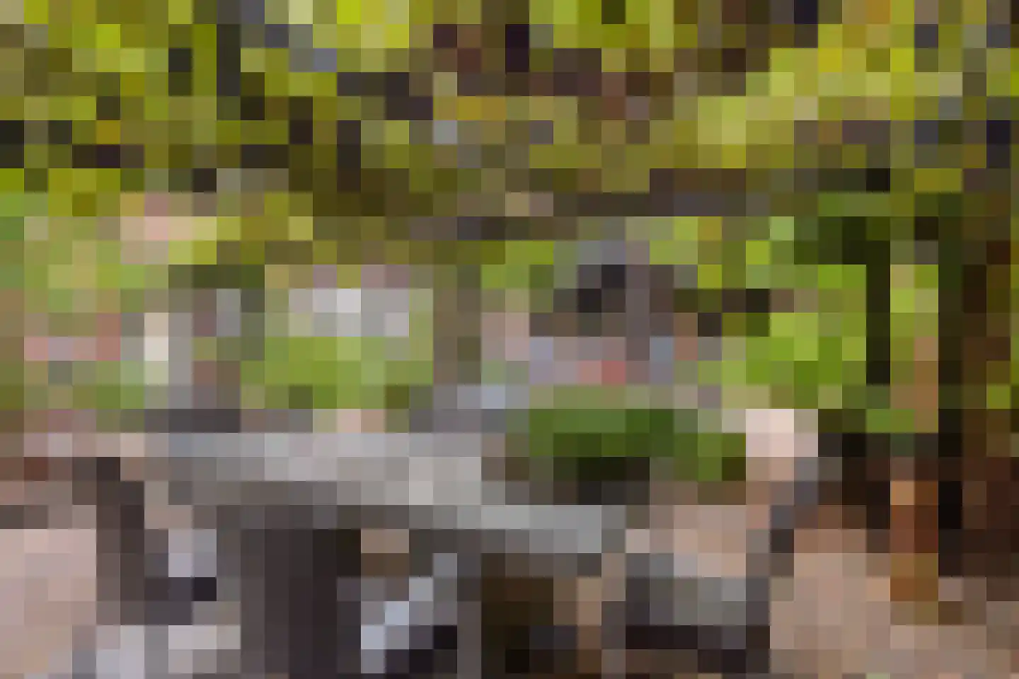 Willemstraat 200 Ridderkerk thumbnail 37