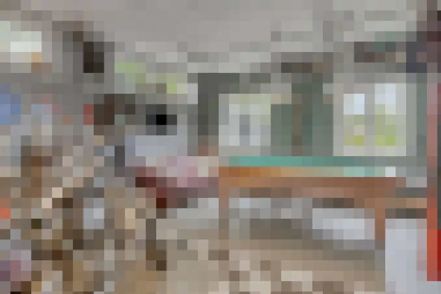 Willemstraat 200 Ridderkerk thumbnail 46
