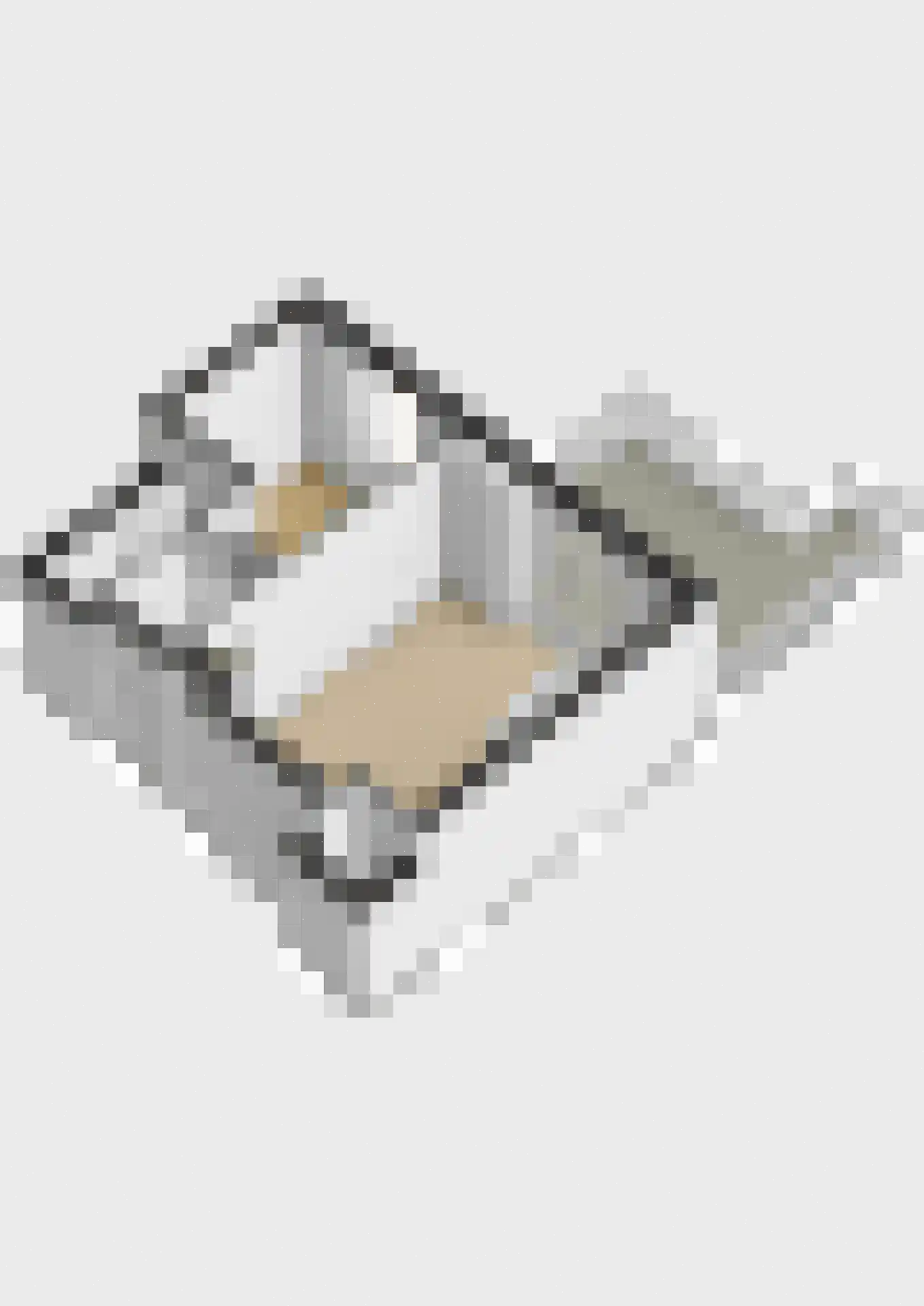 Willemstraat 21 A2 Breda thumbnail 37