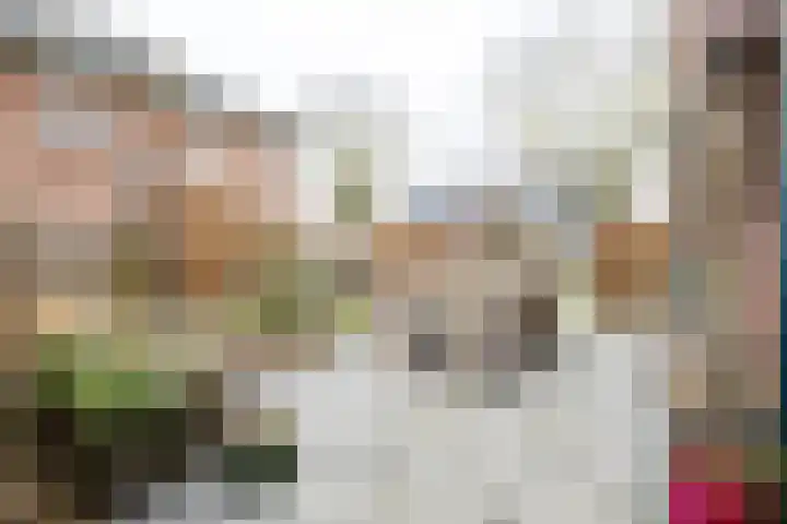 Willemstraat 22 Doetinchem thumbnail 16