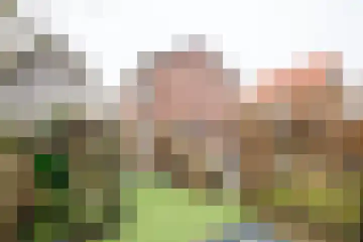 Willemstraat 22 Doetinchem thumbnail 18