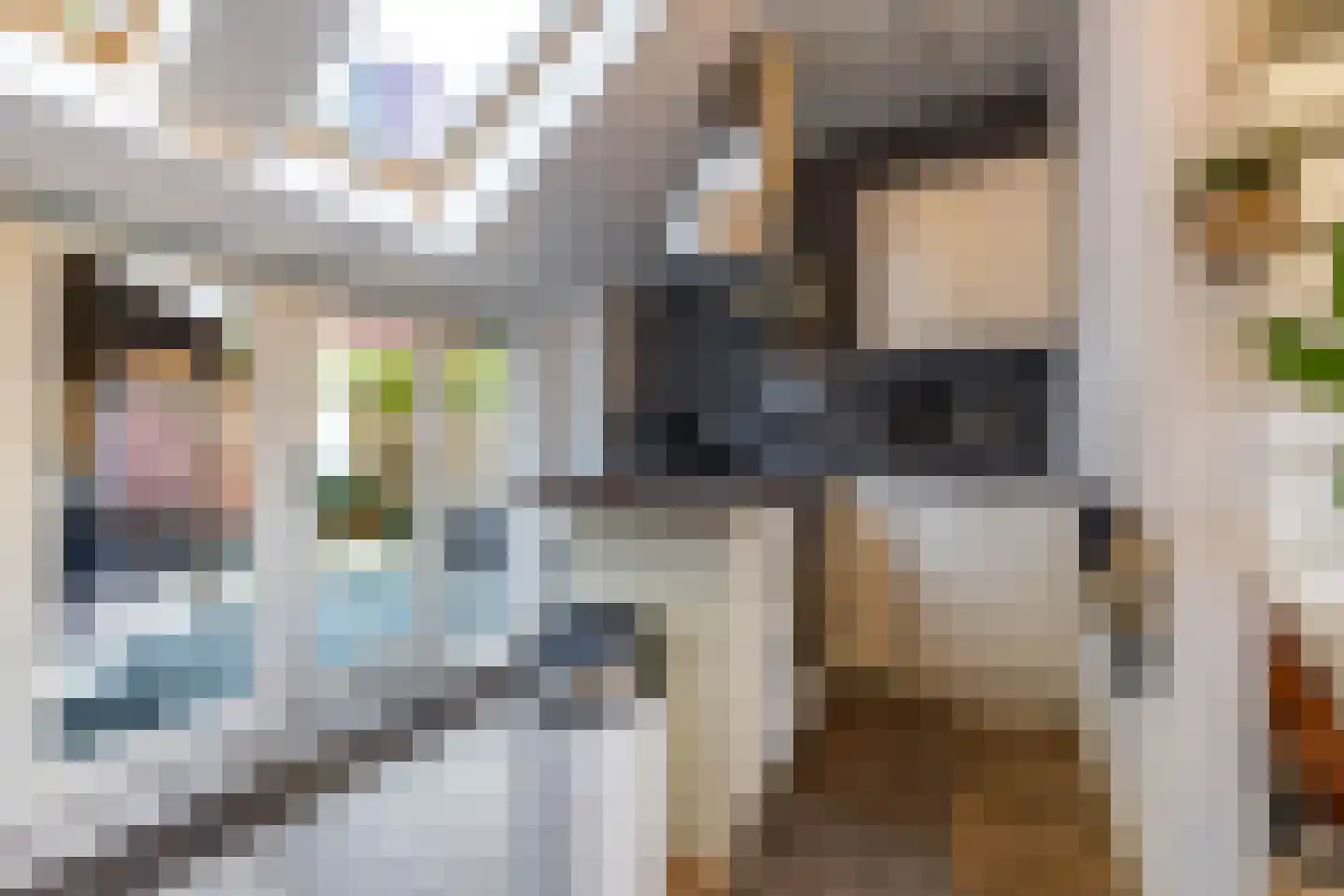 Willemstraat 23 Groningen thumbnail 16