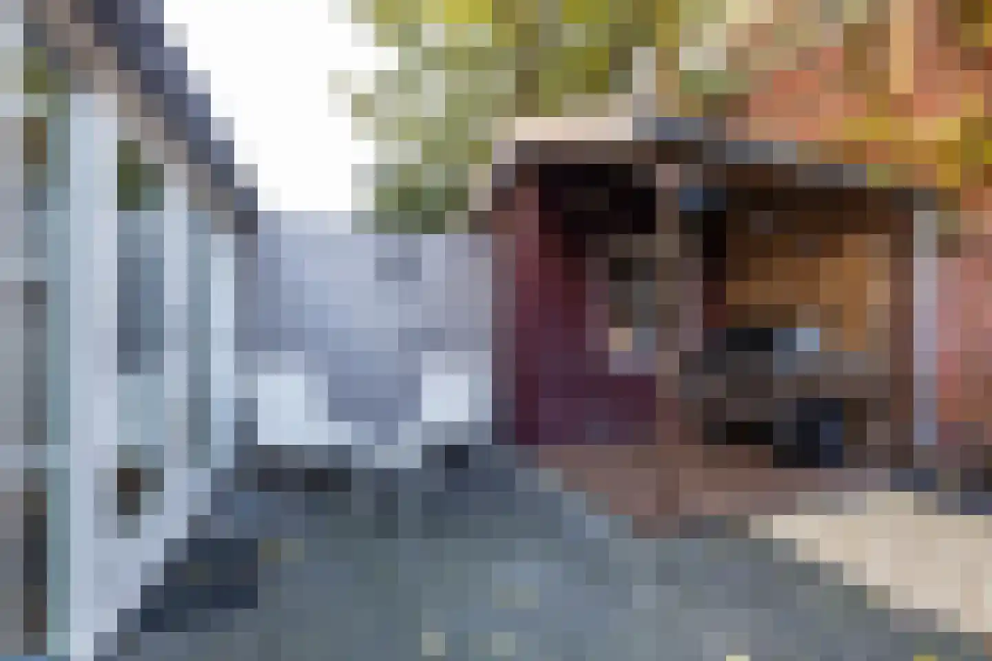 Willemstraat 23 Groningen thumbnail 23