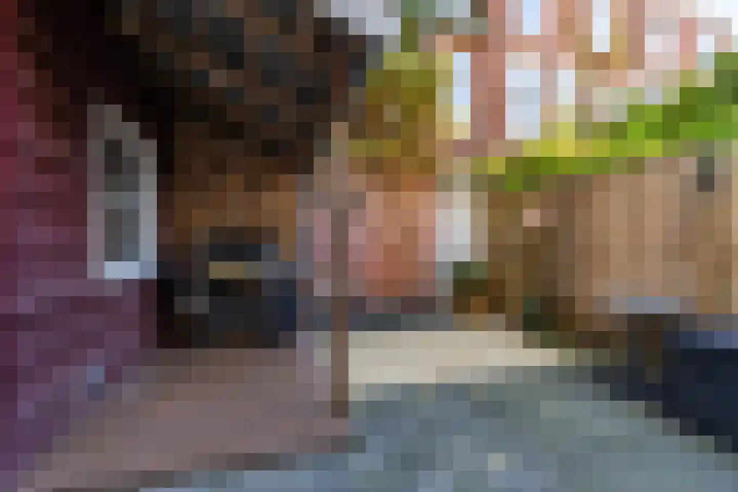 Willemstraat 23 Groningen thumbnail 25