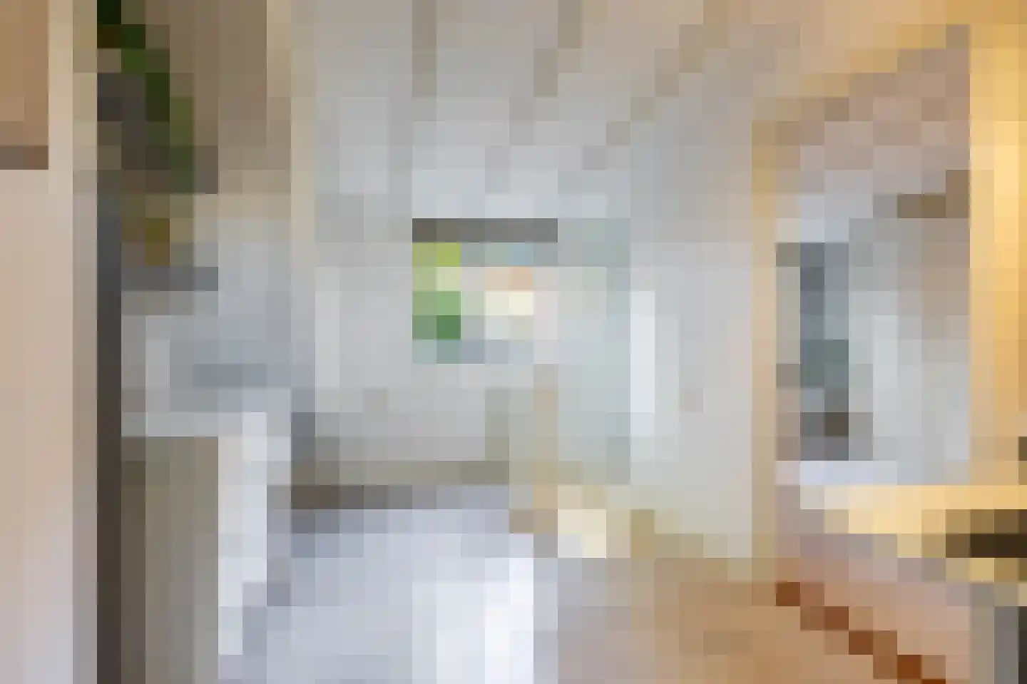 Willemstraat 23 Groningen thumbnail 28