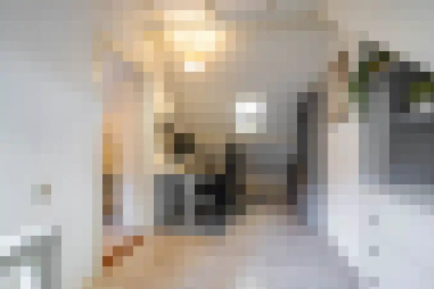 Willemstraat 23 Groningen thumbnail 29