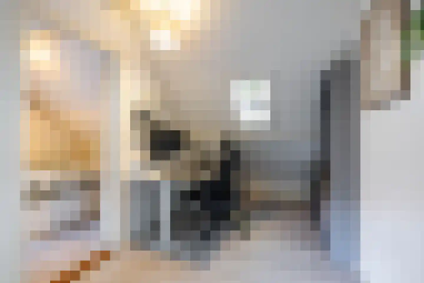 Willemstraat 23 Groningen thumbnail 30