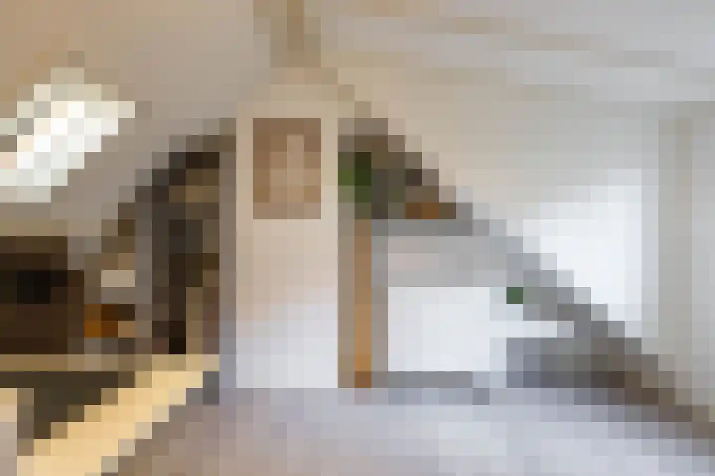 Willemstraat 23 Groningen thumbnail 34