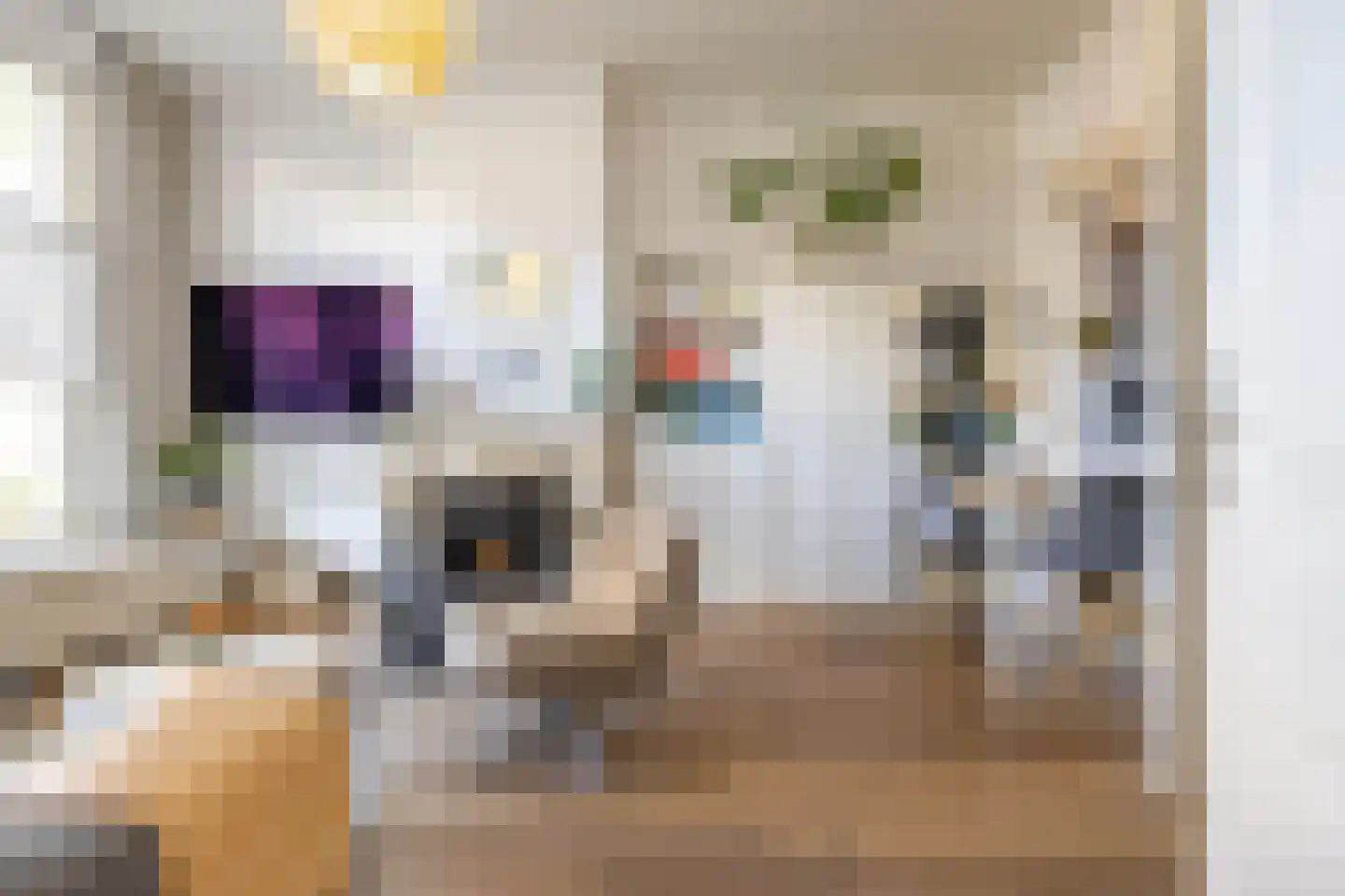 Willemstraat 23 Groningen thumbnail 6