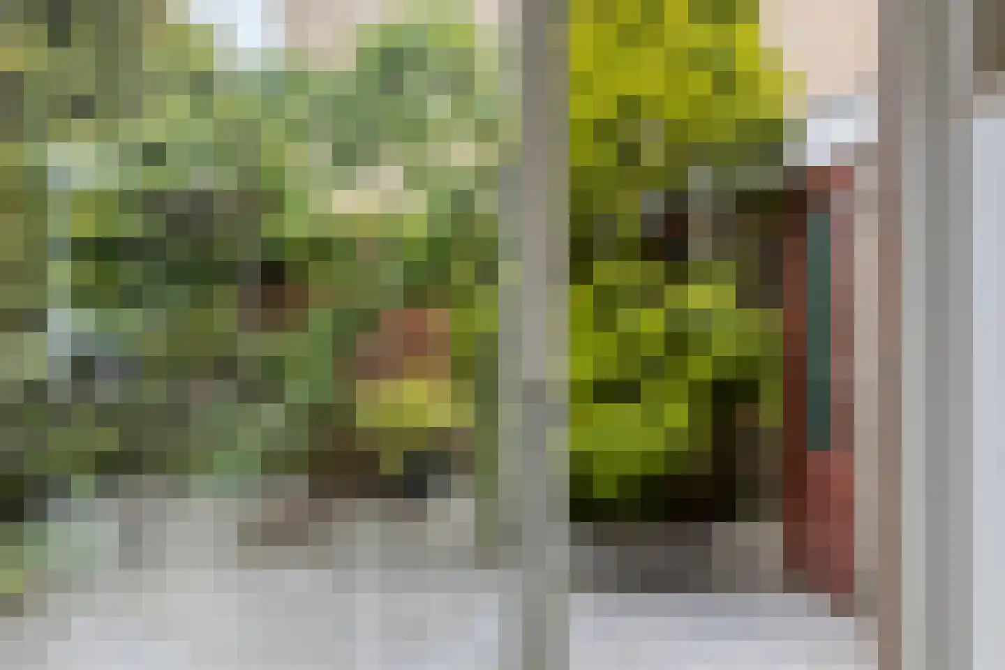 Willemstraat 23 Zoetermeer thumbnail 20