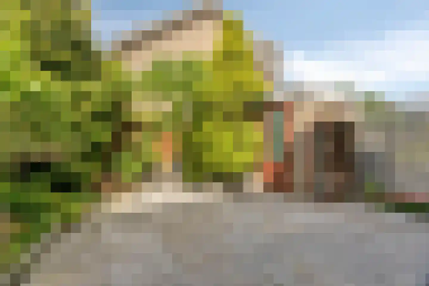Willemstraat 23 Zoetermeer thumbnail 33