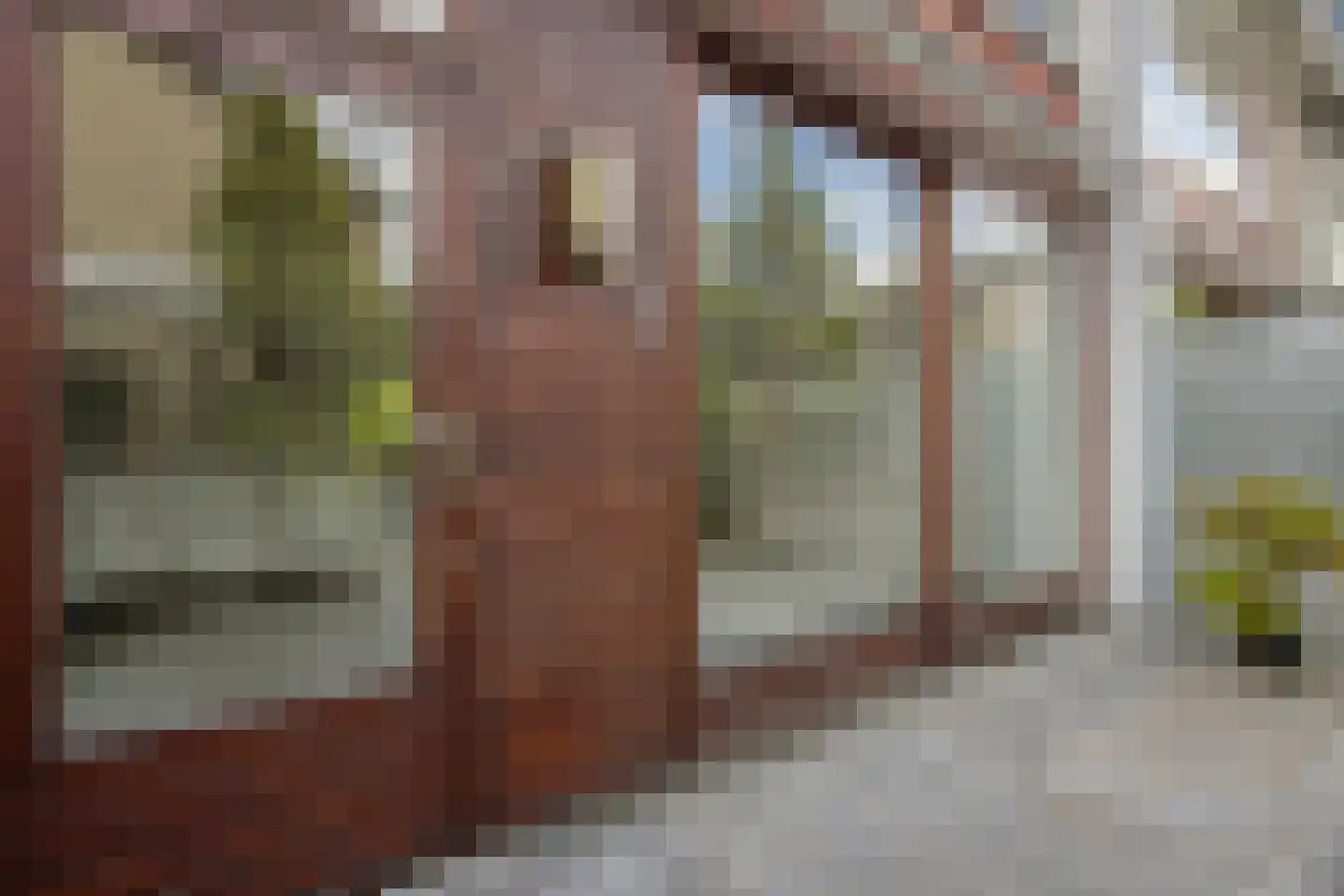 Willemstraat 23 Zoetermeer thumbnail 34