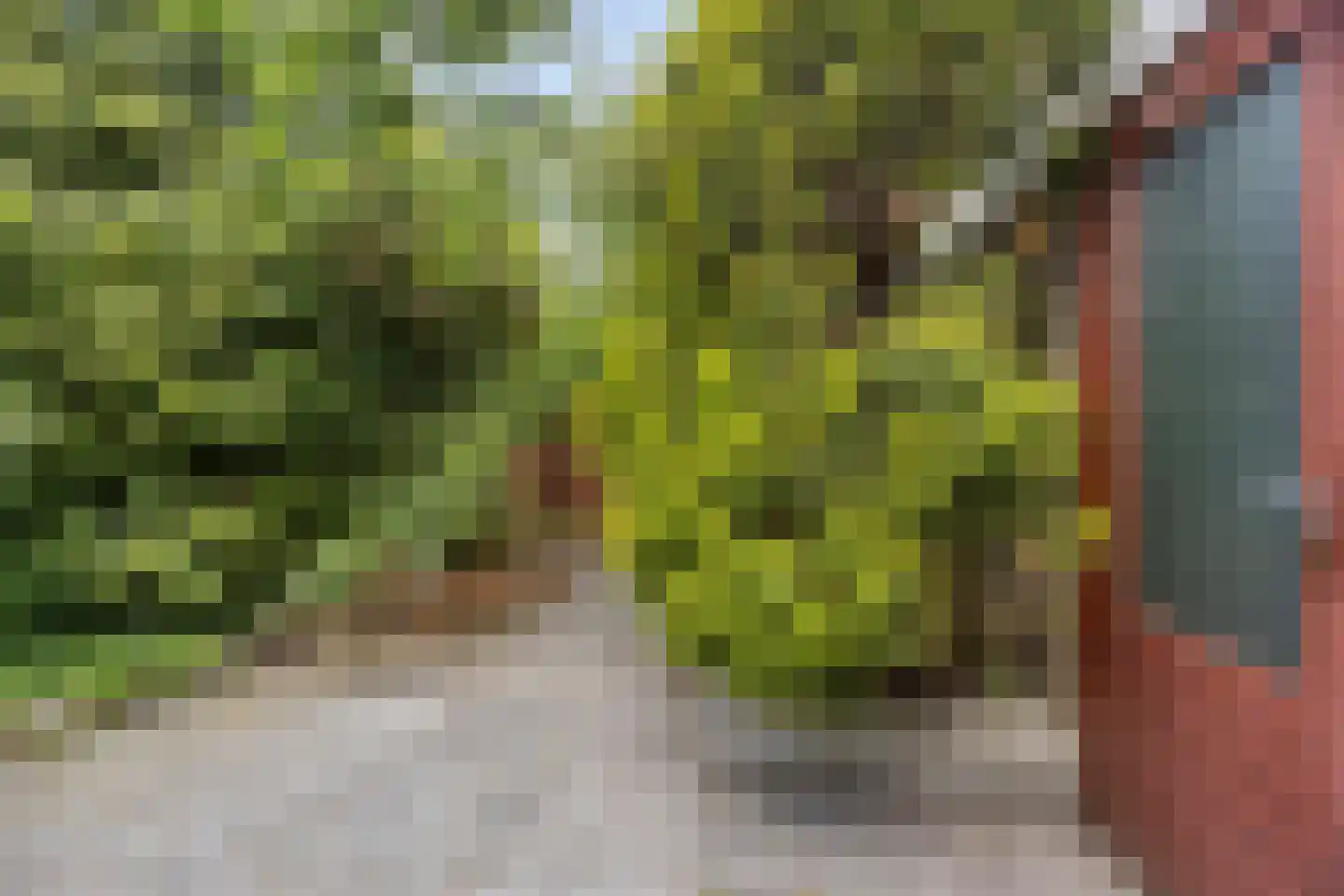 Willemstraat 23 Zoetermeer thumbnail 35