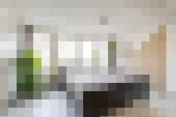 Willemstraat 24 Groningen thumbnail 33