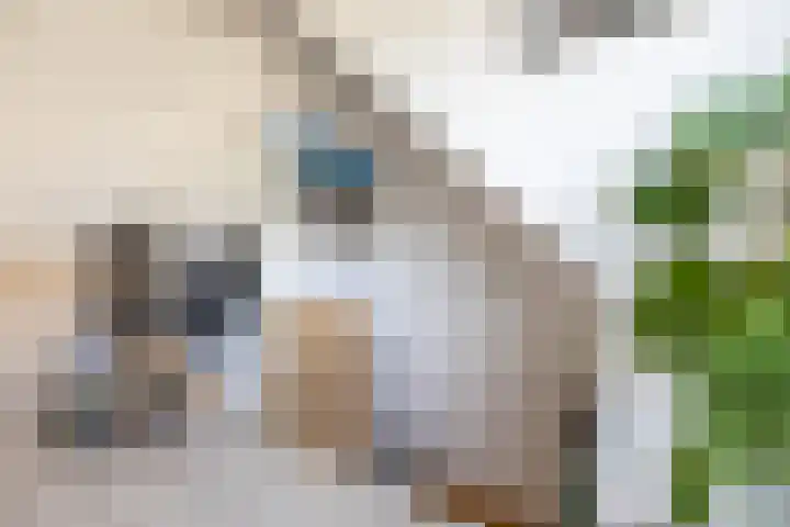 Willemstraat 24 Groningen thumbnail 37