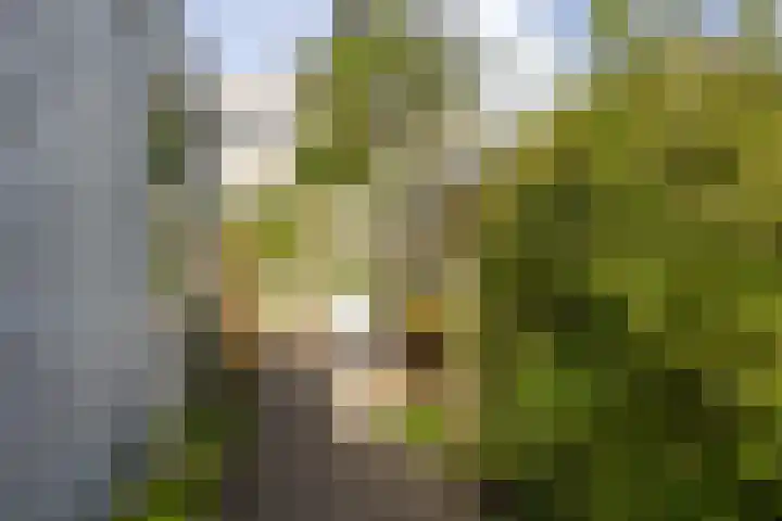 Willemstraat 24 Groningen thumbnail 38
