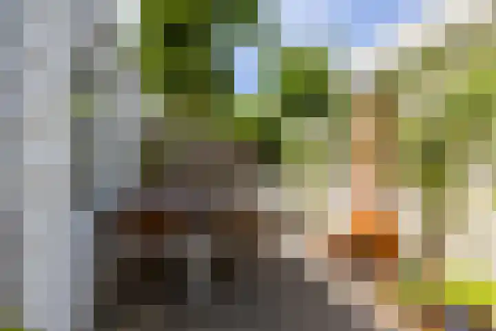 Willemstraat 24 Groningen thumbnail 39