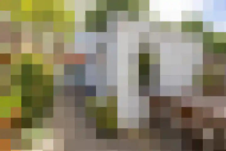Willemstraat 24 Groningen thumbnail 42