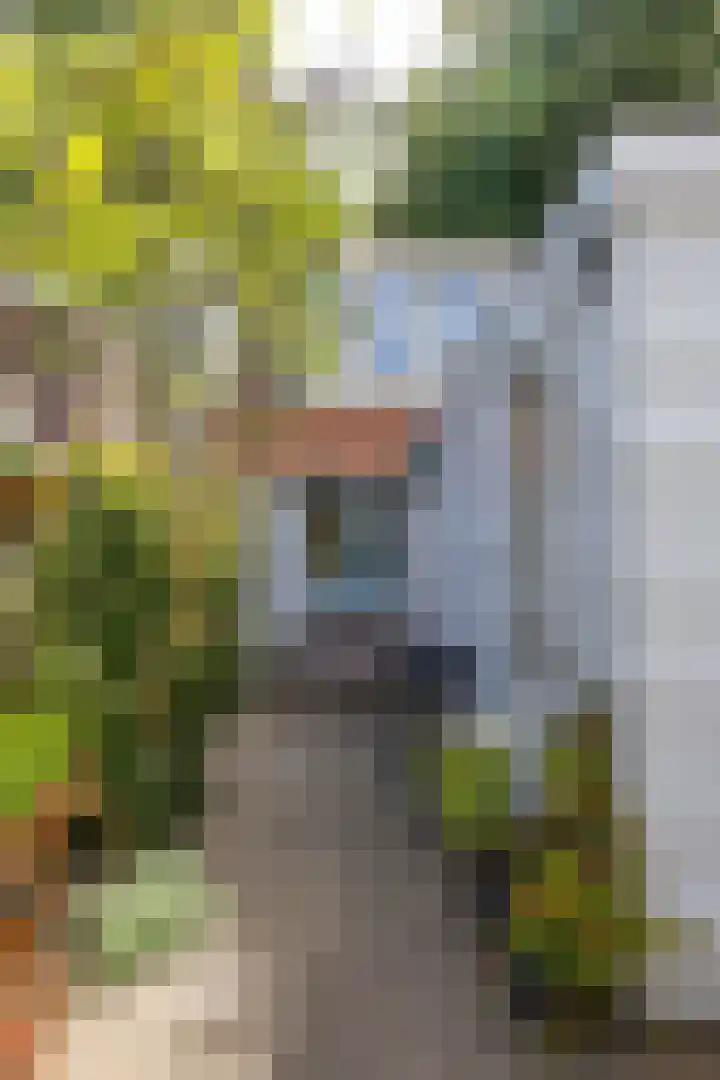 Willemstraat 24 Groningen thumbnail 43
