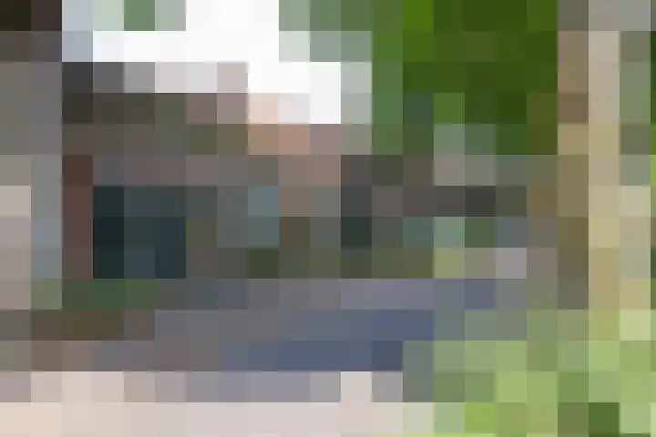 Willemstraat 24 Groningen thumbnail 44