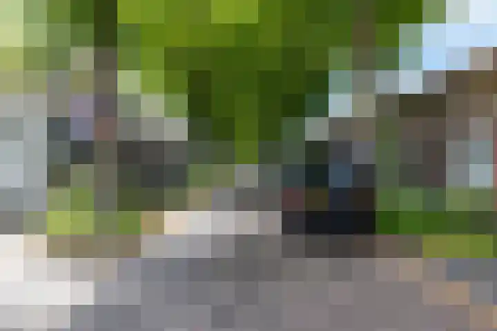 Willemstraat 24 Groningen thumbnail 46