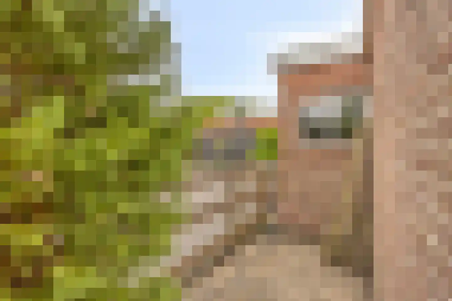 Willemstraat 24 Zuidland thumbnail 30