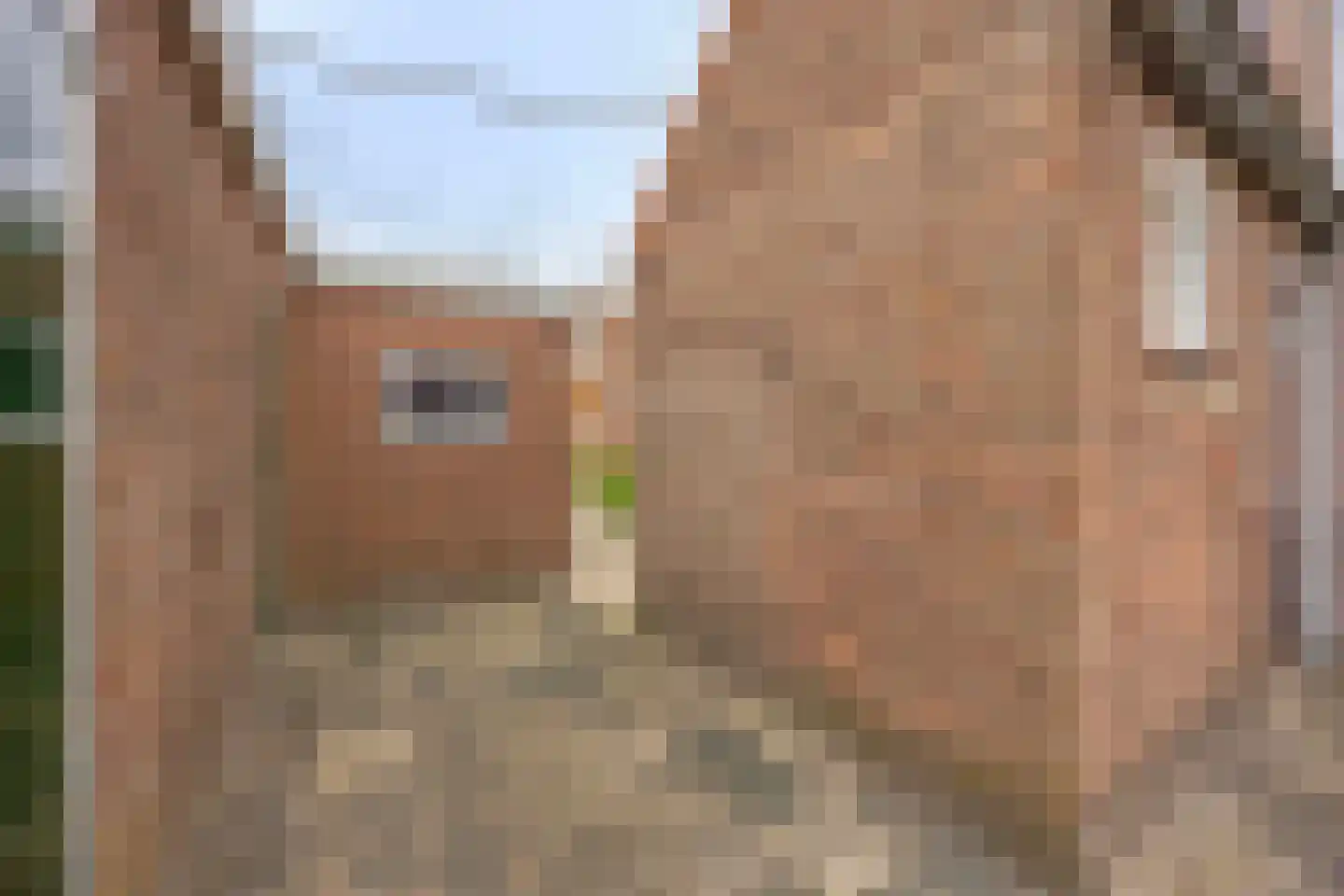 Willemstraat 24 Zuidland thumbnail 34