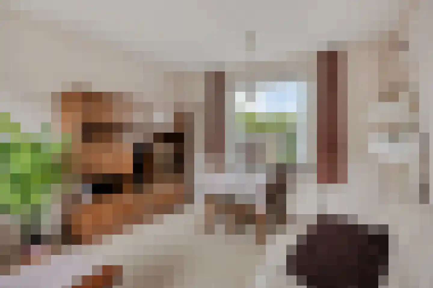 Willemstraat 24 Zuidland thumbnail 7