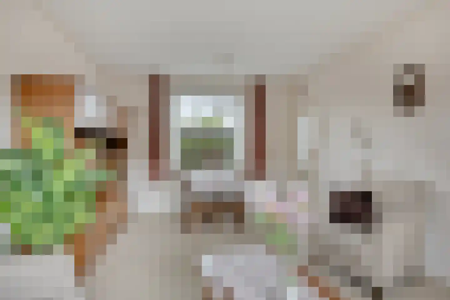 Willemstraat 24 Zuidland thumbnail 8