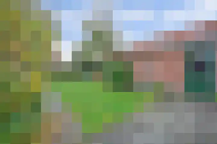 Willemstraat 241 Ridderkerk thumbnail 34