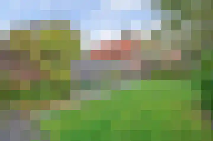 Willemstraat 241 Ridderkerk thumbnail 35