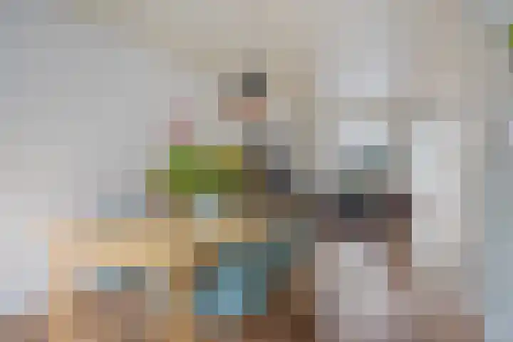 Willemstraat 25 Oosterhout thumbnail 5