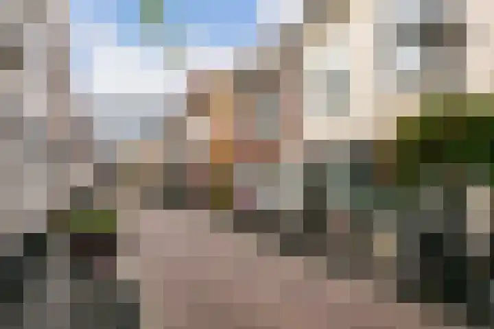 Willemstraat 26 B Utrecht thumbnail 21