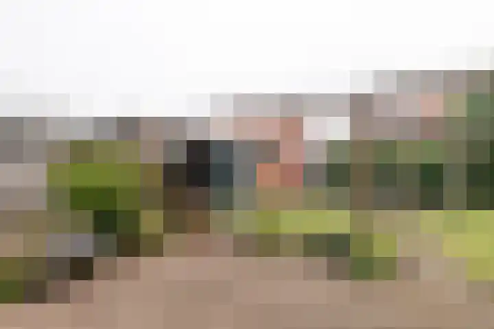 Willemstraat 26 Geldermalsen thumbnail 24