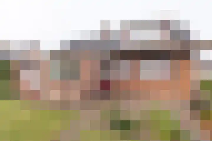 Willemstraat 26 Geldermalsen thumbnail 25