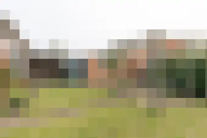Willemstraat 26 Geldermalsen thumbnail 27