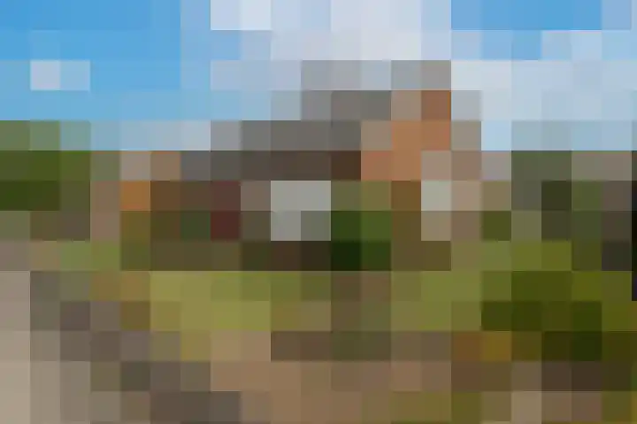 Willemstraat 26 Geldermalsen thumbnail 29