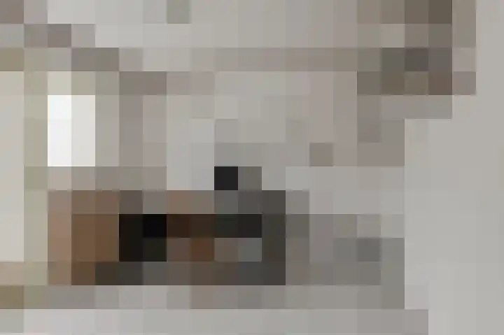 Willemstraat 26 Geldermalsen thumbnail 8