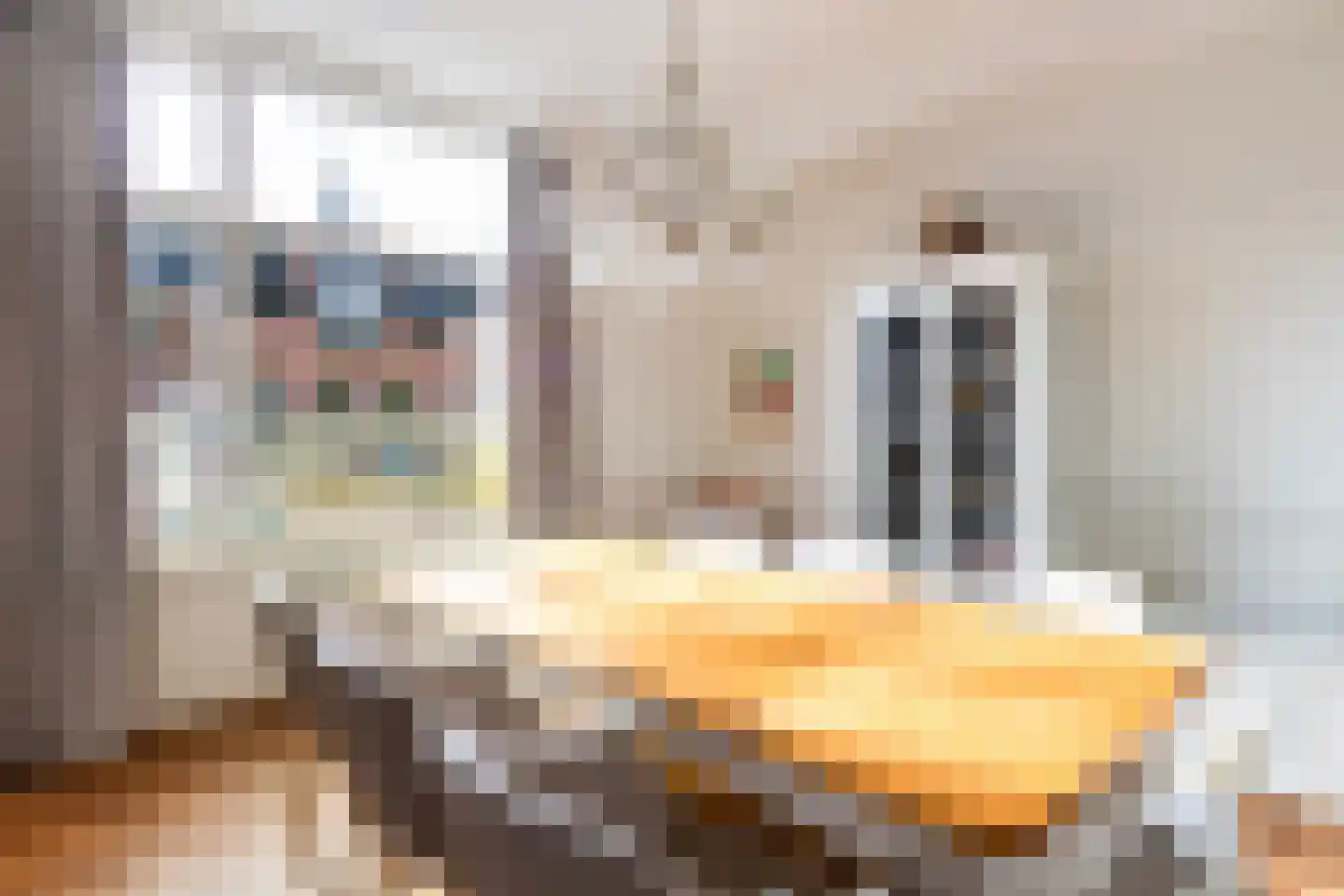 Willemstraat 28 Dordrecht thumbnail 18