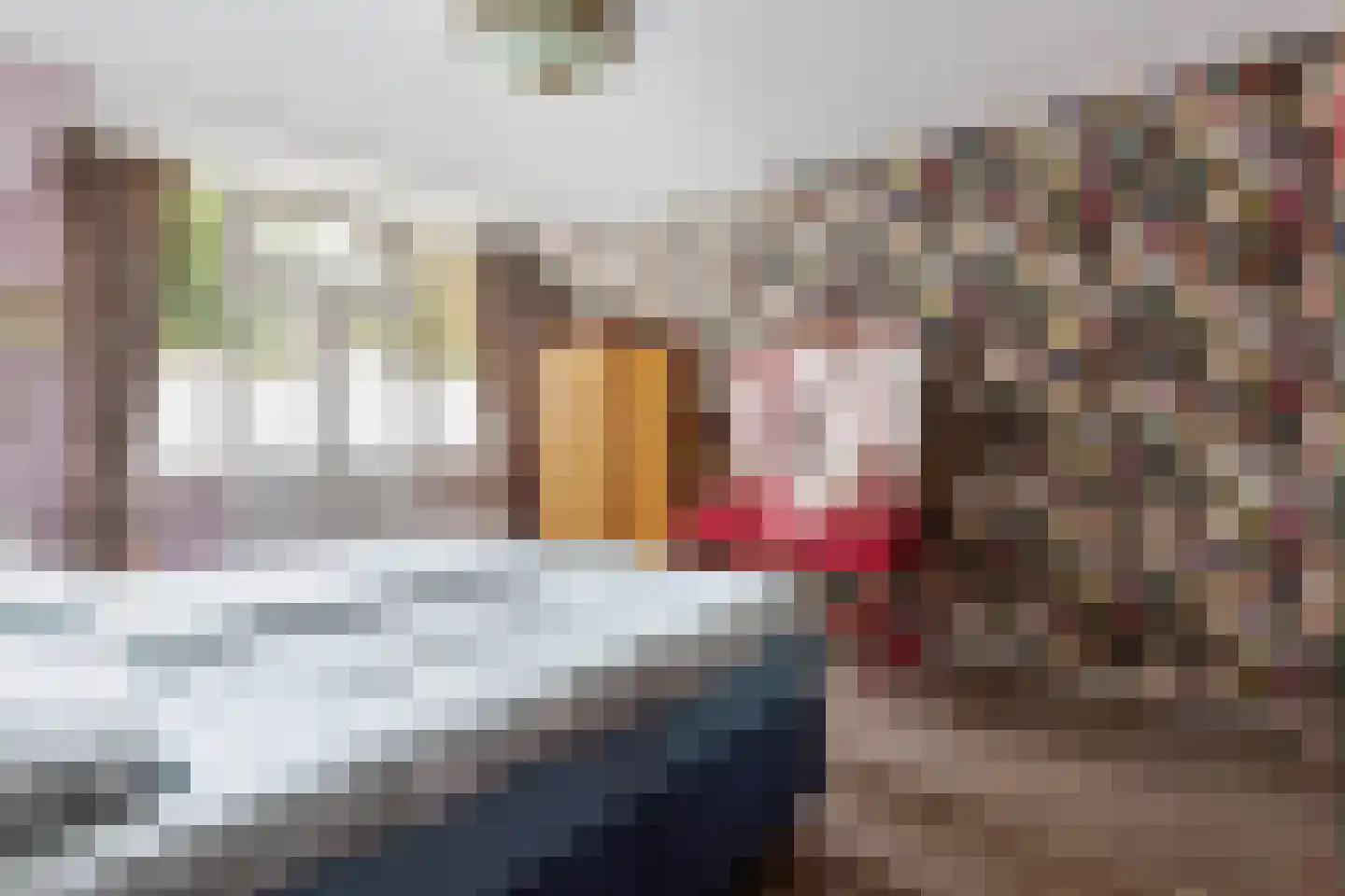 Willemstraat 28 Dordrecht thumbnail 28