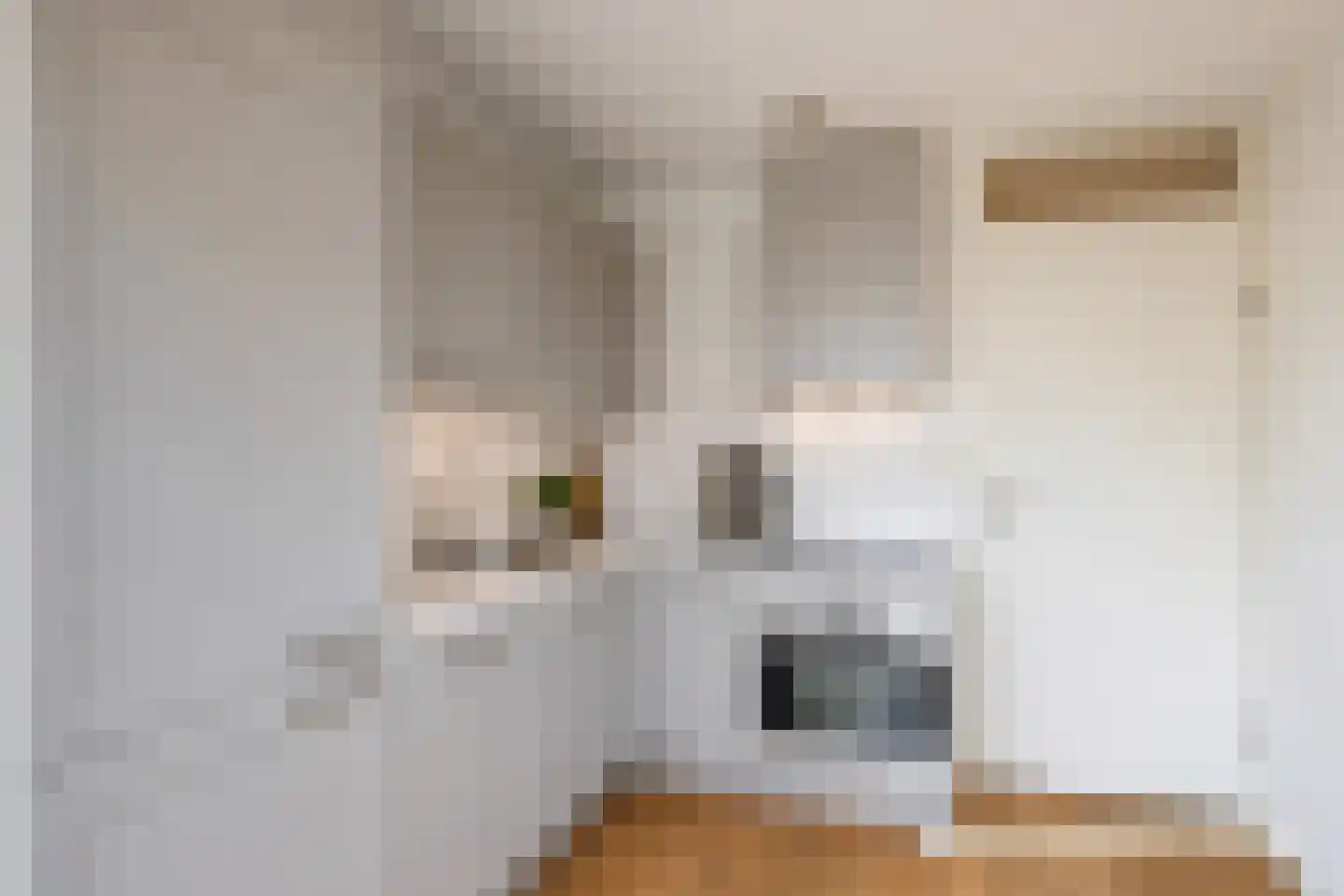 Willemstraat 29 Den Haag thumbnail 13