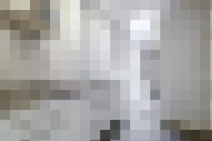 Willemstraat 29 Utrecht thumbnail 10