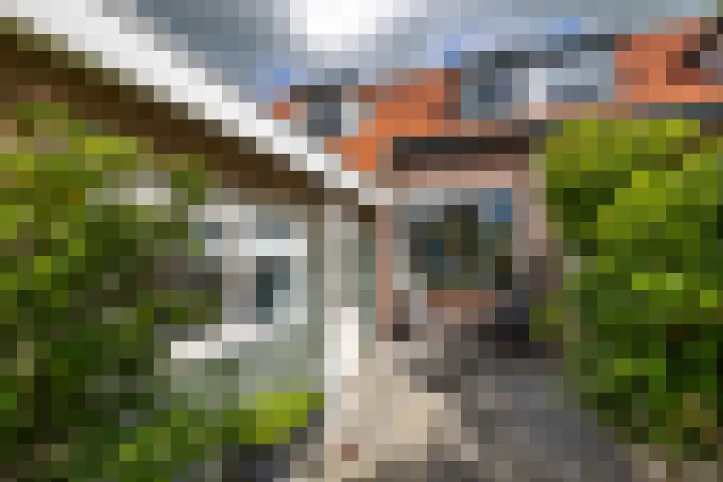 Willemstraat 3 Hardinxveld-Giessendam thumbnail 22