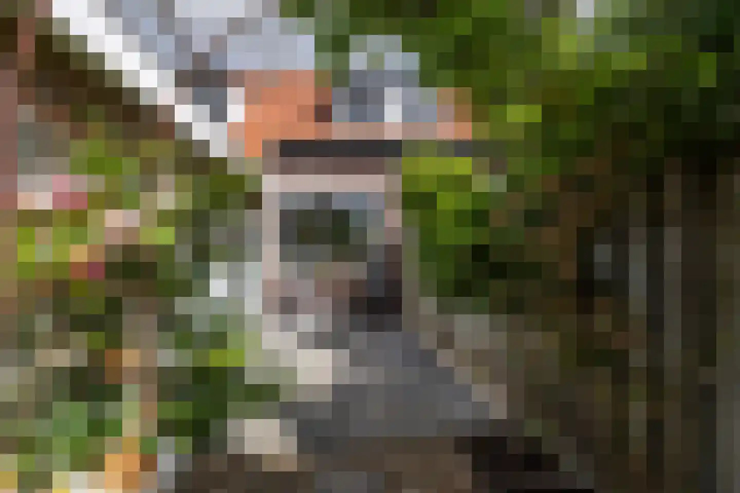 Willemstraat 3 Hardinxveld-Giessendam thumbnail 26