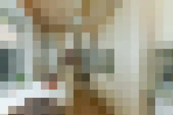 Willemstraat 3 Velp thumbnail 13