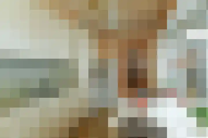 Willemstraat 3 Velp thumbnail 14