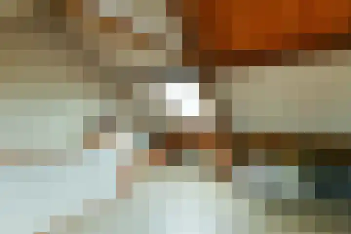 Willemstraat 3 Velp thumbnail 19