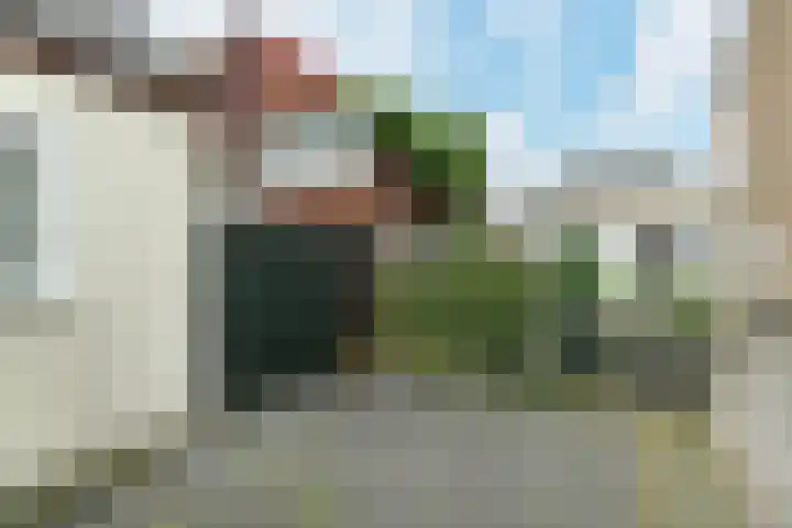 Willemstraat 3 Velp thumbnail 4